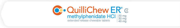 quilli logo banner